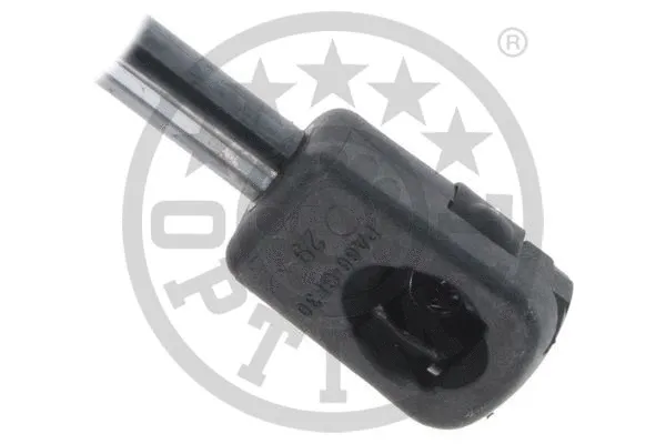 Gas Spring, boot/cargo area