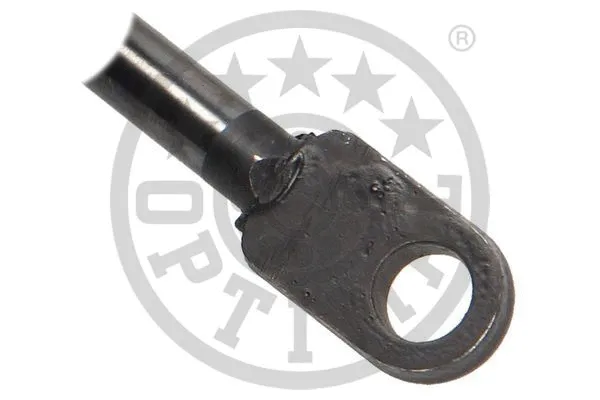 Gas Spring, boot/cargo area