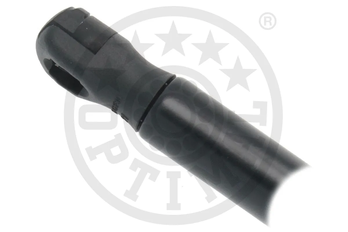 Gas Spring, boot/cargo area