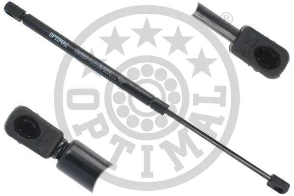 Gas Spring, boot/cargo area (AG-52208)