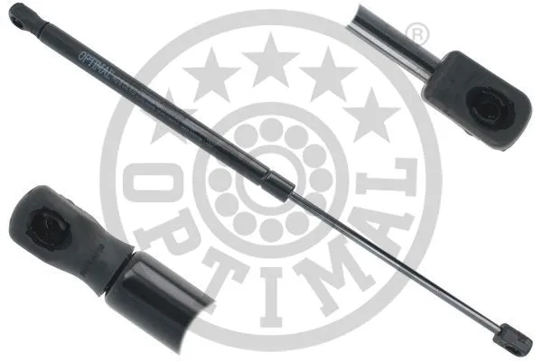 Gas Spring, boot/cargo area (AG-51757)