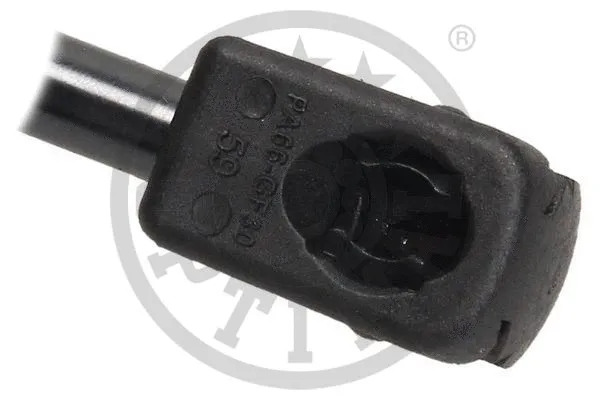 Gas Spring, boot/cargo area