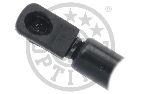Gas Spring, boot/cargo area