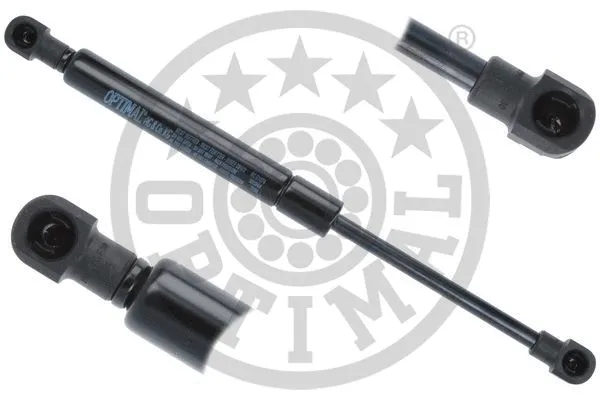 Gas Spring, boot/cargo area (AG-51074)