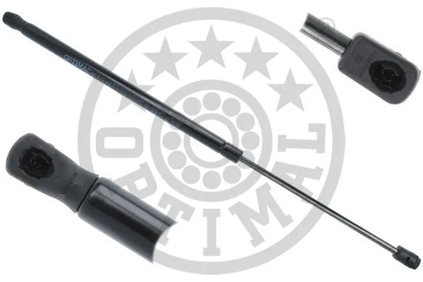Gas Spring, boot/cargo area (AG-50569)