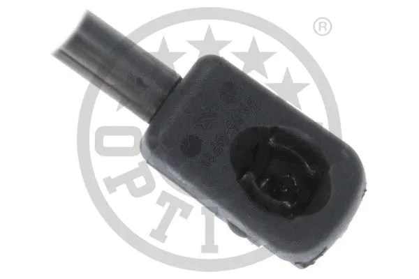 Gas Spring, boot/cargo area