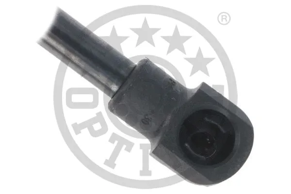 Gas Spring, boot/cargo area