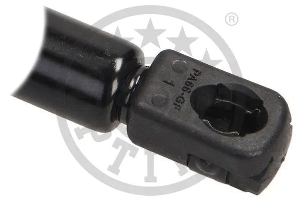 Gas Spring, boot/cargo area