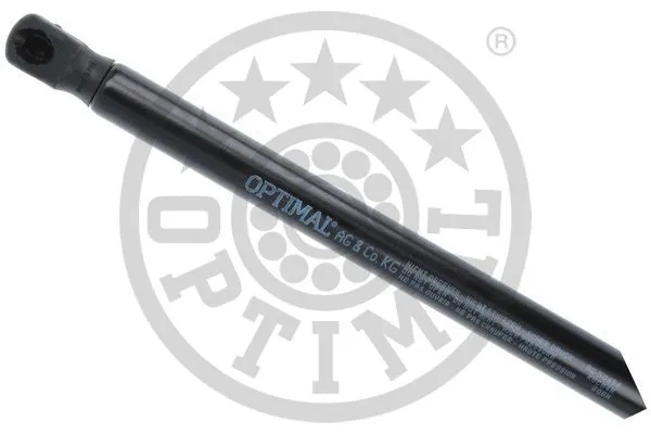 Gas Spring, boot/cargo area
