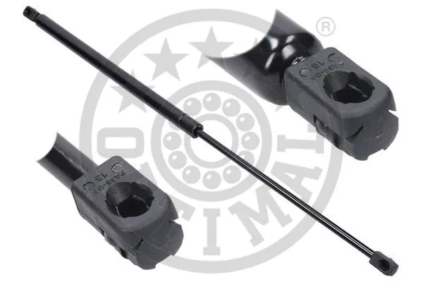 Gas Spring, boot/cargo area (AG-39982)