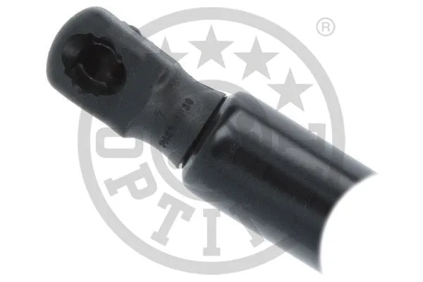 Gas Spring, boot/cargo area