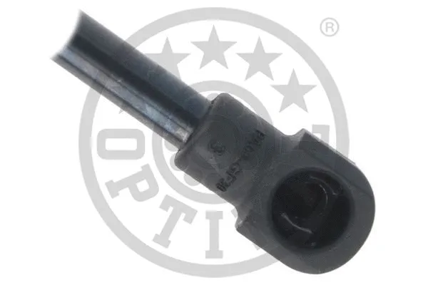 Gas Spring, boot/cargo area