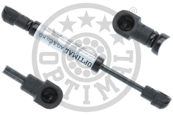 Gas Spring, boot/cargo area (AG-52025)