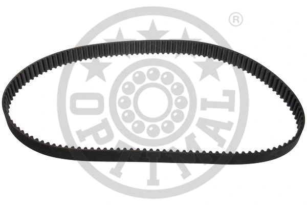 Timing Belt (R-1262)