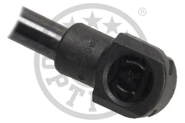 Gas Spring, boot/cargo area