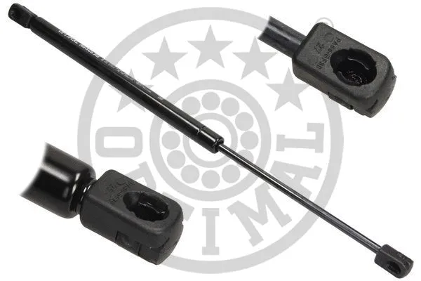 Gas Spring, boot/cargo area (AG-40132)