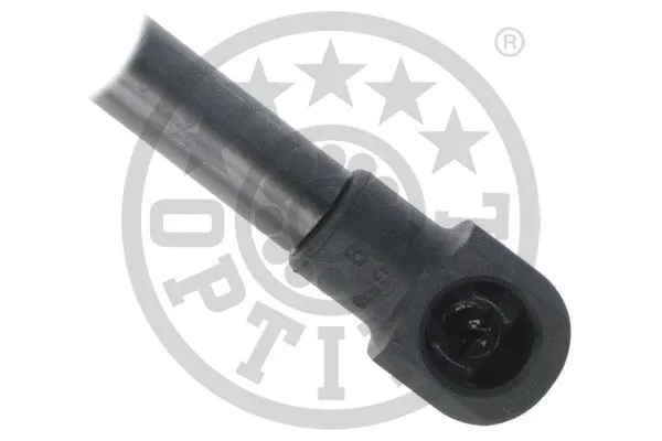 Gas Spring, boot/cargo area