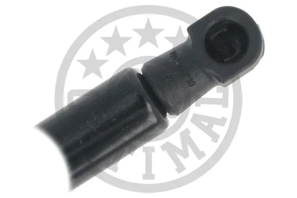 Gas Spring, boot/cargo area