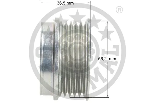 Alternator Freewheel Clutch