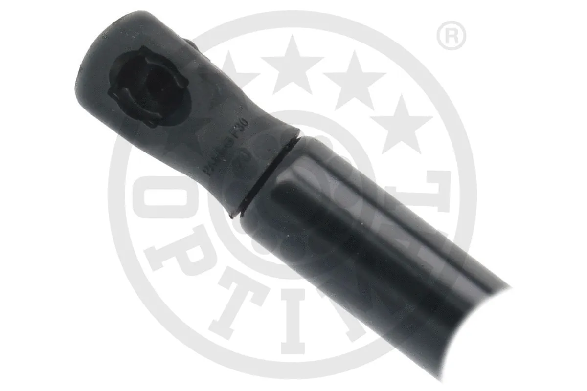 Gas Spring, boot/cargo area