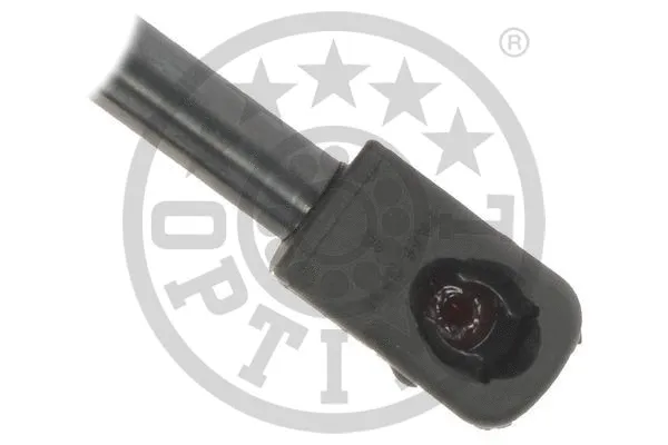 Gas Spring, boot/cargo area