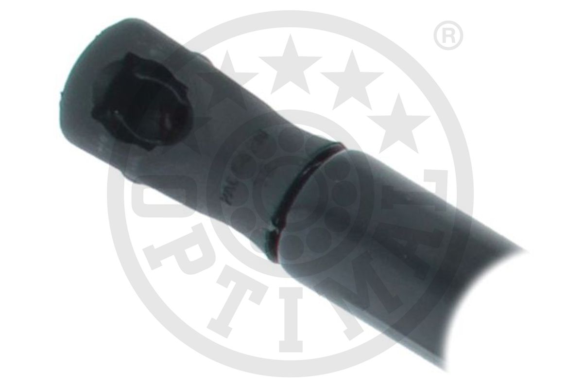 Gas Spring, boot/cargo area