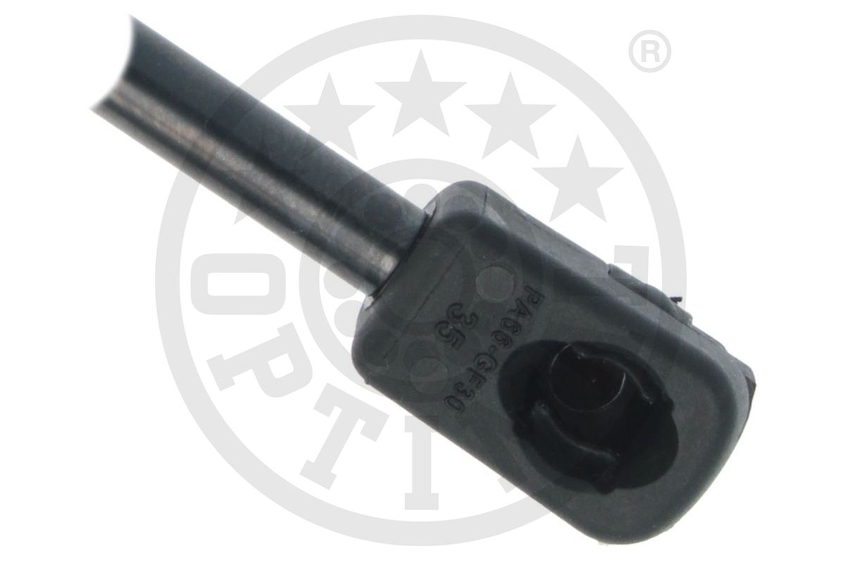 Gas Spring, boot/cargo area