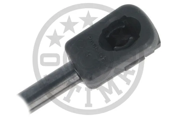 Gas Spring, boot/cargo area