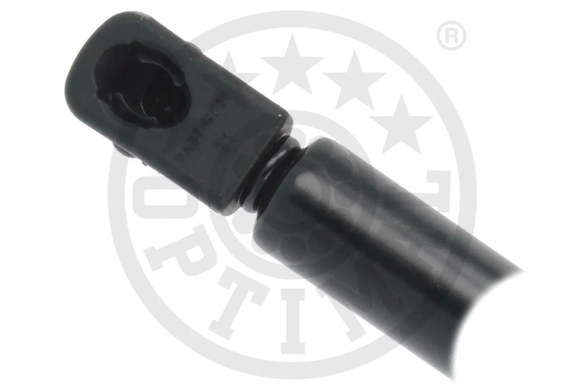 Gas Spring, boot/cargo area