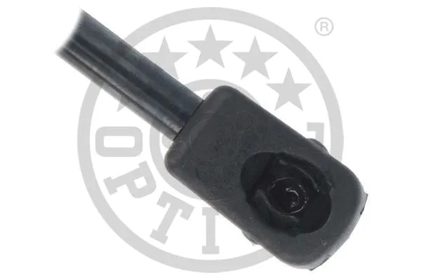 Gas Spring, boot/cargo area
