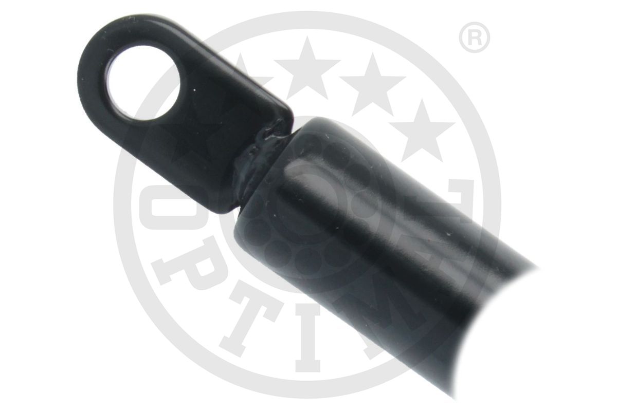 Gas Spring, boot/cargo area