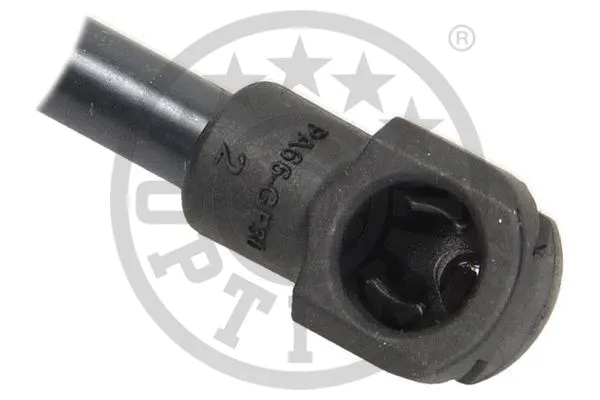 Gas Spring, boot/cargo area