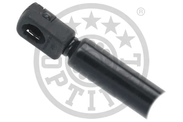 Gas Spring, boot/cargo area