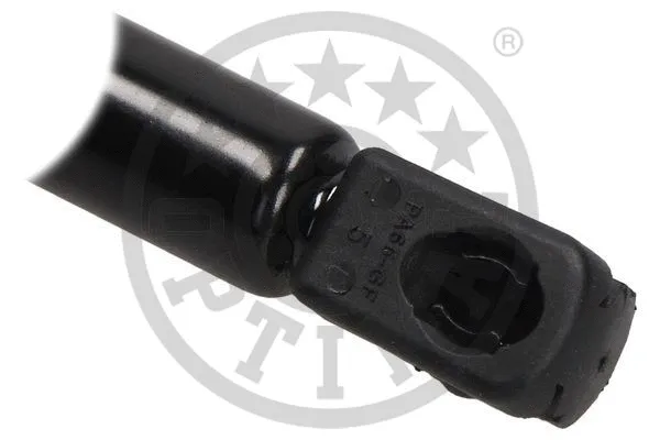 Gas Spring, boot/cargo area
