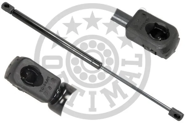 Gas Spring, boot/cargo area (AG-40442)