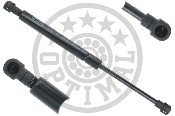 Gas Spring, boot/cargo area (AG-51492)