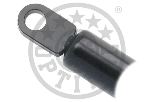 Gas Spring, boot/cargo area