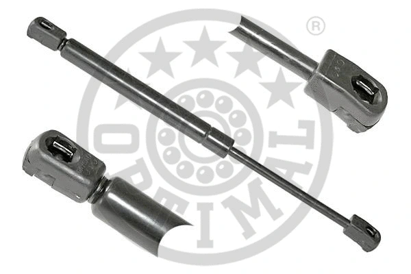 Gas Spring, boot/cargo area (AG-39908)
