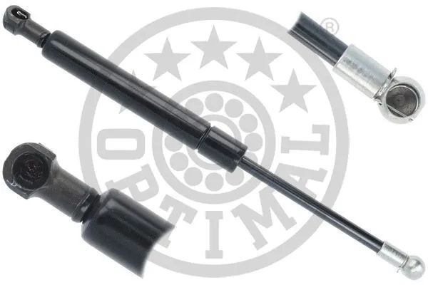 Gas Spring, boot/cargo area (AG-51419)