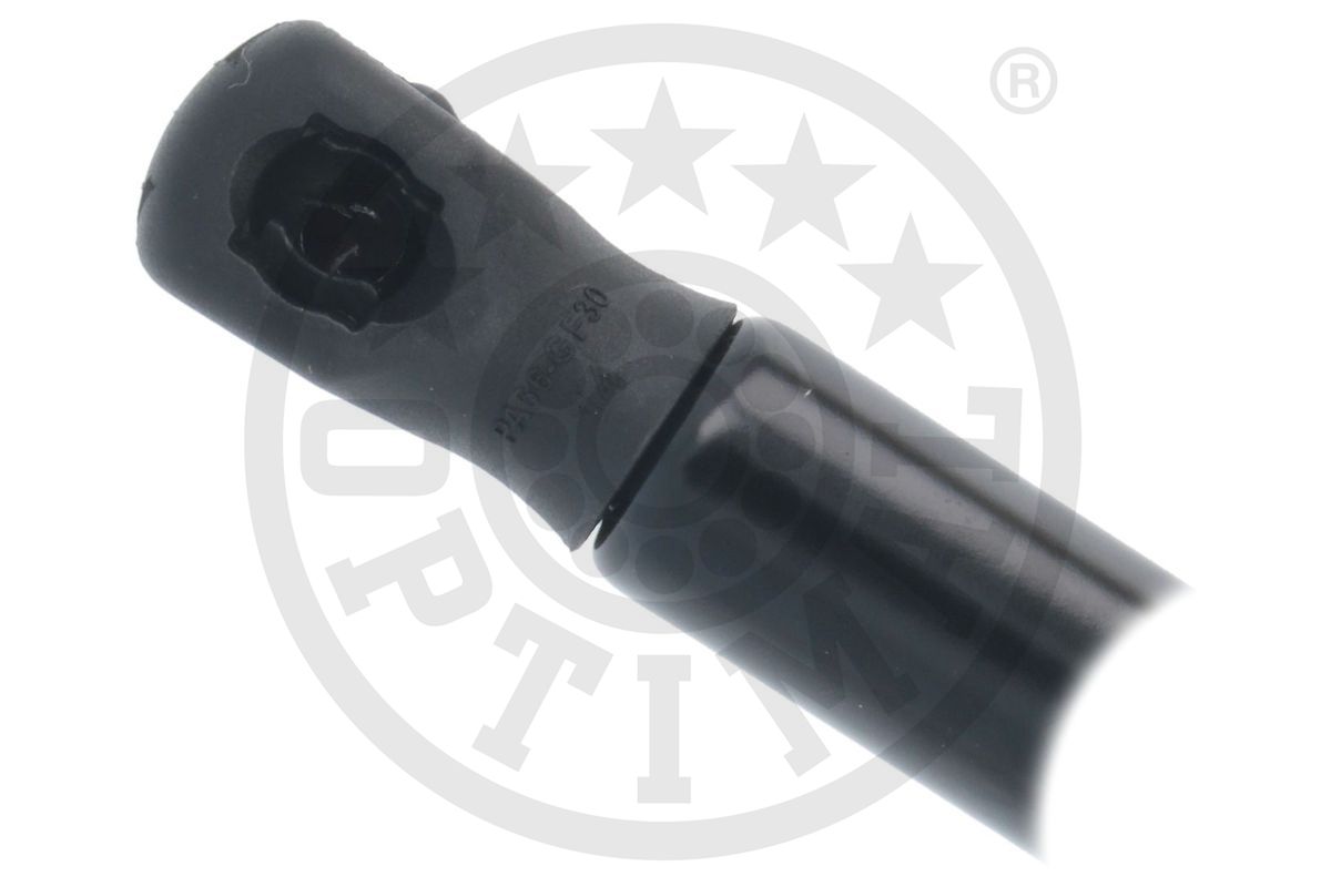 Gas Spring, boot/cargo area