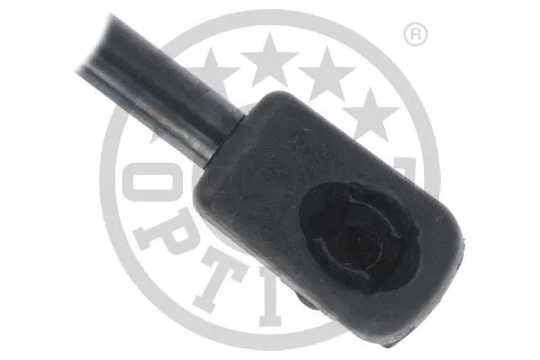 Gas Spring, boot/cargo area