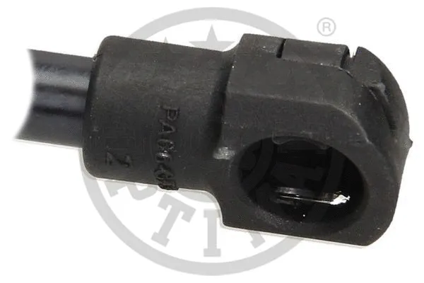 Gas Spring, boot/cargo area