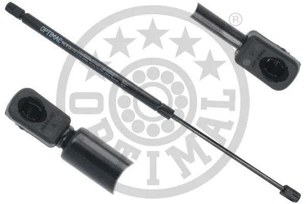 Gas Spring, boot/cargo area (AG-52278)