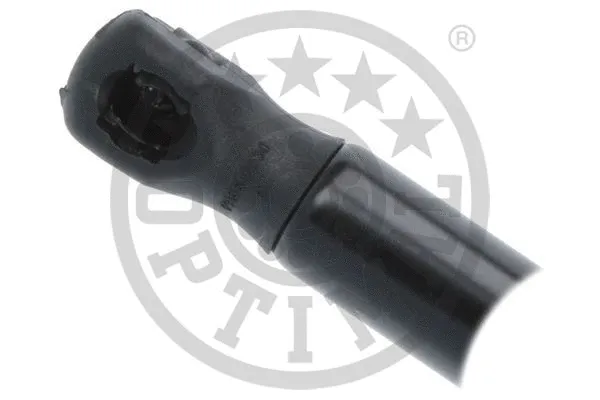 Gas Spring, boot/cargo area