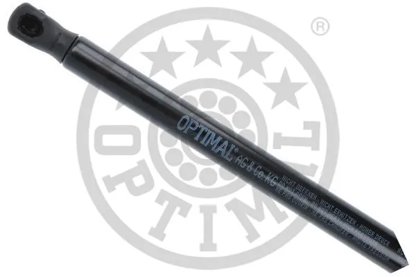 Gas Spring, boot/cargo area