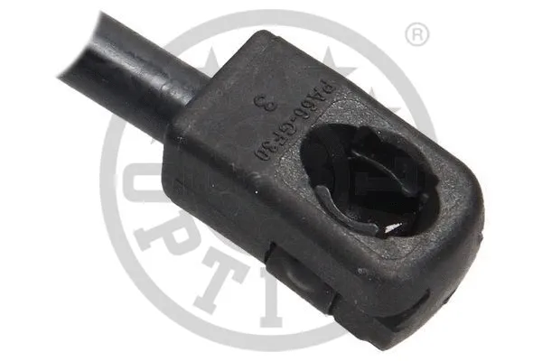 Gas Spring, boot/cargo area