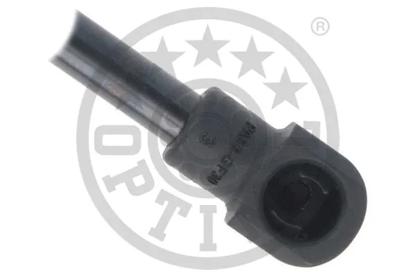 Gas Spring, boot/cargo area