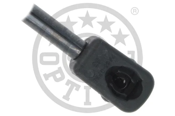 Gas Spring, boot/cargo area