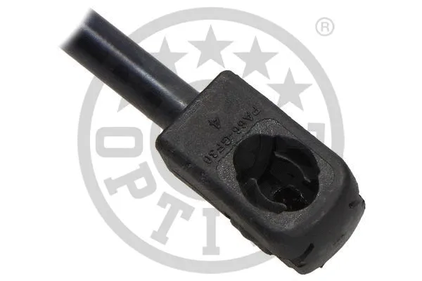 Gas Spring, boot/cargo area