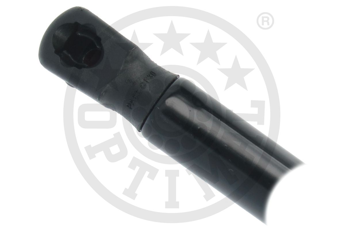 Gas Spring, boot/cargo area